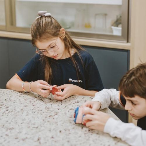 colegiopremier-anosiniciais4