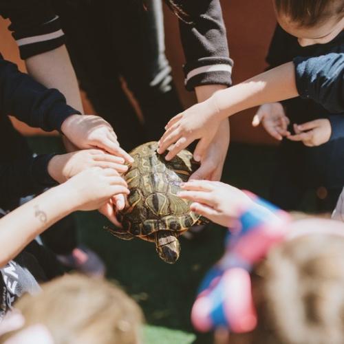 colegiopremier-educacaoinfantil1